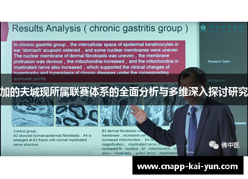 加的夫城现所属联赛体系的全面分析与多维深入探讨研究 加的夫城现所属联赛体系的全面分析与多维深入探讨研究